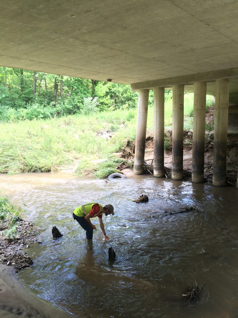 Someone standing in the water under a bridge, leaning down to interact with the water