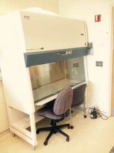 A biosafety hood