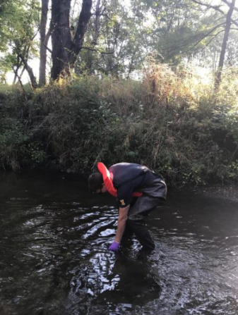 A person leans over in a stream taking samples