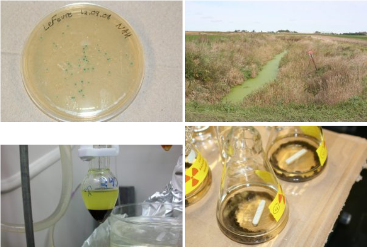 Various petri dishes and beakers with biohazard stickers. There is an algae-covered creek. The research implements all appear to have growth in them. 