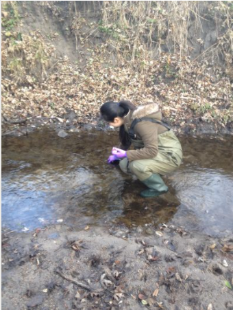 A person crouches in a stream taking samples
