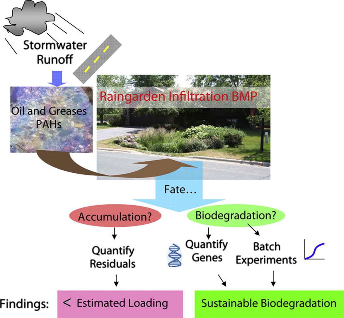 A diagram showing the movement of stormwater runoff to oil and greases PAHs to raingarden infiltration BMP. The fate is then accumulation or biodegredation. Biodegredation can be sustainable. 