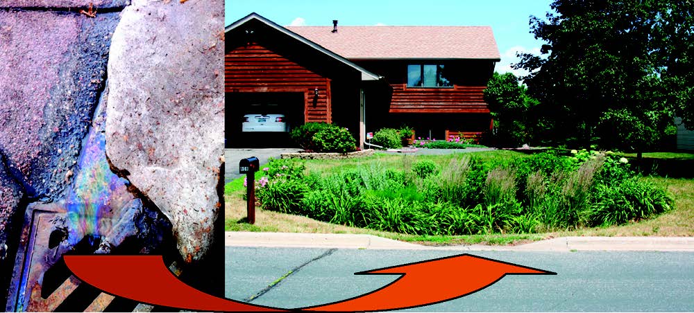 an image of pollutants flowing into a storm drain with an arrow pointing to the next image of native plants in a drainage ditch