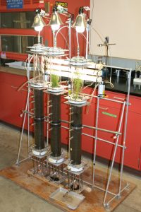 testing equipment tubes in a lab